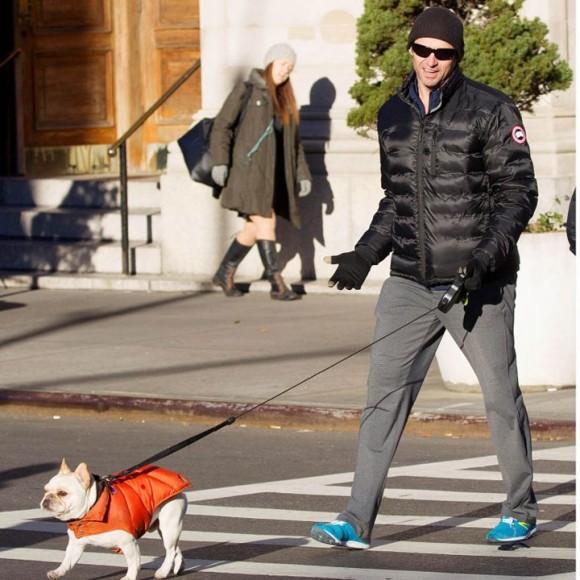 Hugh Jackman walking his adorable pup in the Canada Goose Lodge Down Jacket