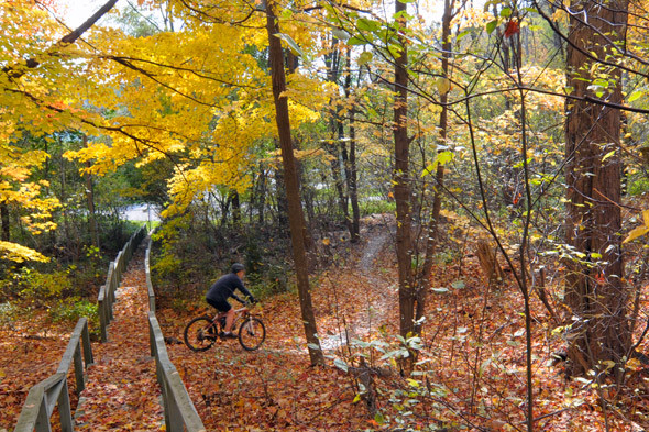 Staff Picks Mountain Road Bike Trails in Toronto GTA