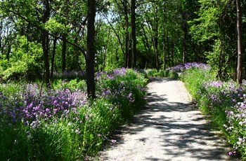 etobicoke creek trail